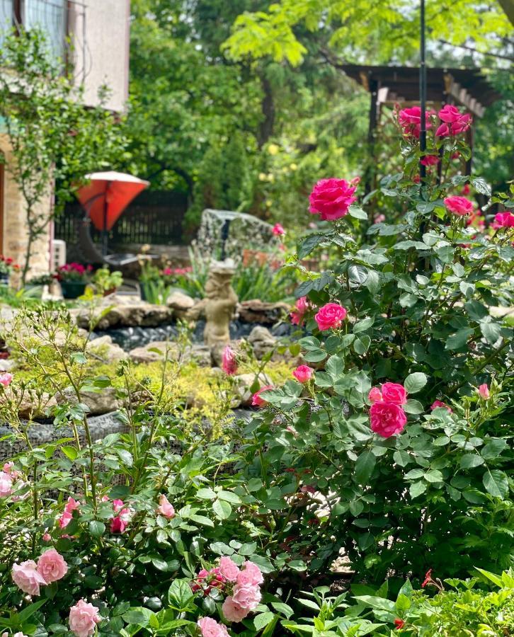 مبيت وإفطار فاما فيكي Vamabel House المظهر الخارجي الصورة